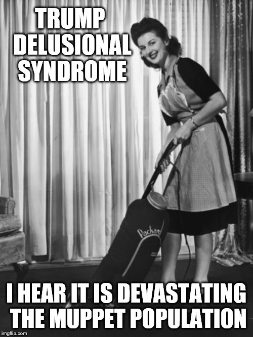 50's Housework | TRUMP DELUSIONAL SYNDROME I HEAR IT IS DEVASTATING THE MUPPET POPULATION | image tagged in 50's housework | made w/ Imgflip meme maker