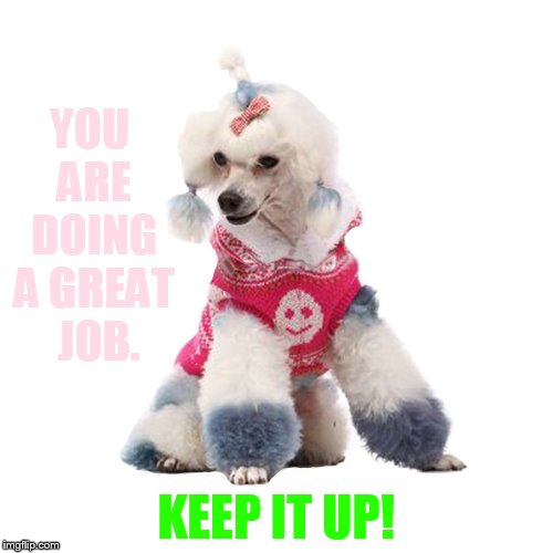 YOU ARE DOING A GREAT  JOB. KEEP IT UP! | made w/ Imgflip meme maker