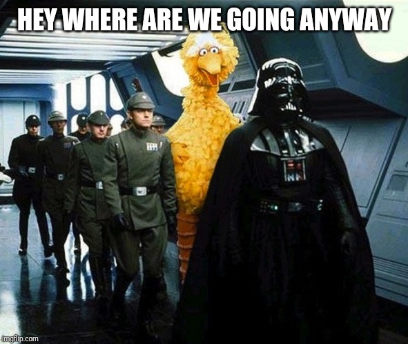vader big bird | HEY WHERE ARE WE GOING ANYWAY | image tagged in vader big bird | made w/ Imgflip meme maker