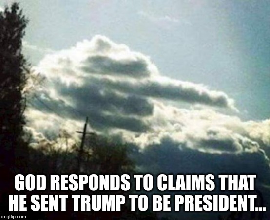 No I didn't | GOD RESPONDS TO CLAIMS THAT HE SENT TRUMP TO BE PRESIDENT... | image tagged in trump,god,hate,fear,greed,fascist | made w/ Imgflip meme maker