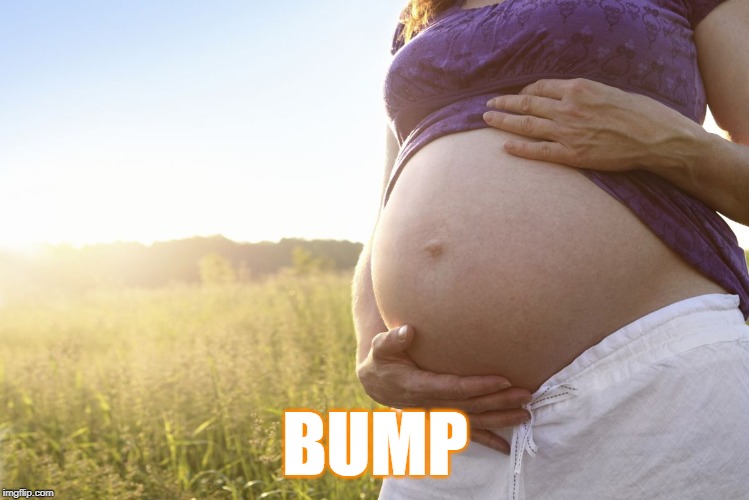 Pregnant Woman | BUMP | image tagged in pregnant woman | made w/ Imgflip meme maker