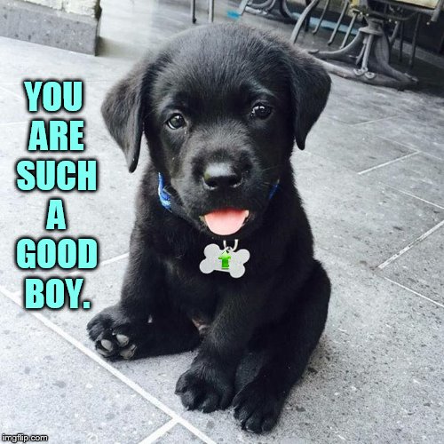 YOU ARE SUCH A GOOD BOY. | made w/ Imgflip meme maker
