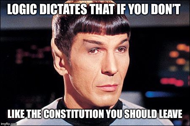 Condescending Spock | LOGIC DICTATES THAT IF YOU DON’T LIKE THE CONSTITUTION YOU SHOULD LEAVE | image tagged in condescending spock | made w/ Imgflip meme maker