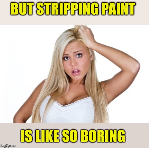 Dumb Blonde | BUT STRIPPING PAINT IS LIKE SO BORING | image tagged in dumb blonde | made w/ Imgflip meme maker