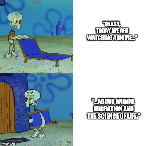 When The Class Wants to Watch Something | "CLASS, TODAY WE ARE WATCHING A MOVIE..."; "...ABOUT ANIMAL MIGRATION AND THE SCIENCE OF LIFE." | image tagged in squidward,chair,squidward chair,class,movie,science | made w/ Imgflip meme maker