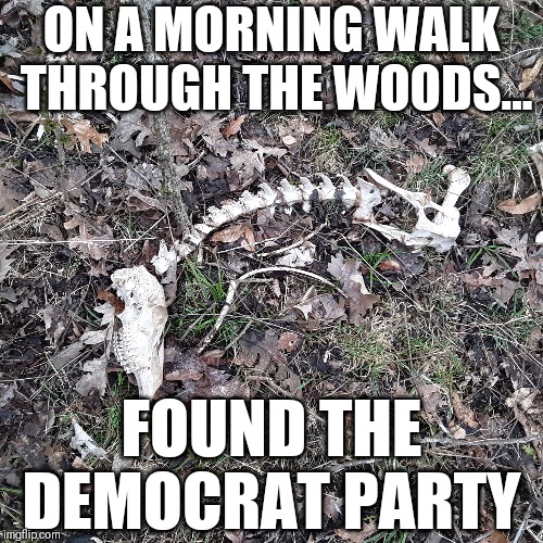 They kept chasing the Mueller mirage while the pool of ideas was always there to drink from... | ON A MORNING WALK THROUGH THE WOODS... FOUND THE DEMOCRAT PARTY | image tagged in politics,democrats,truth,witch hunt,trump2020 | made w/ Imgflip meme maker