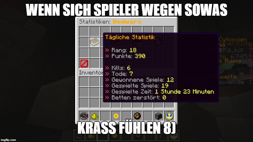WENN SICH SPIELER WEGEN SOWAS; KRASS FÜHLEN 8) | made w/ Imgflip meme maker