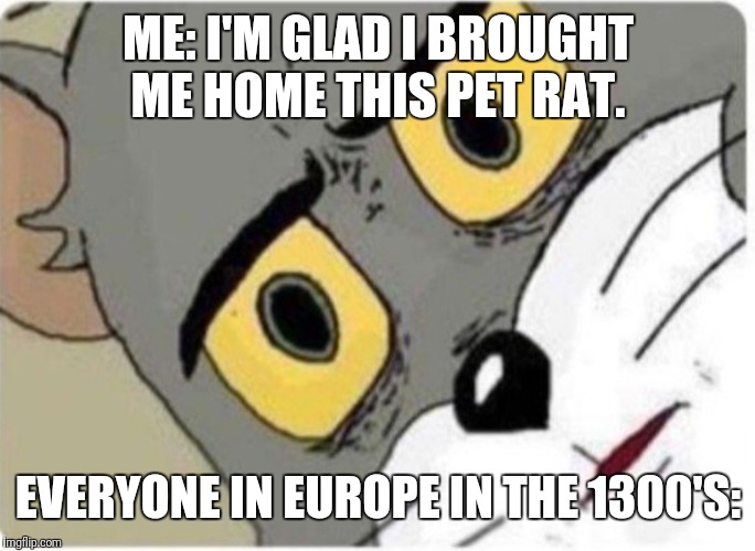 Tom and Jerry meme | ME: I'M GLAD I BROUGHT ME HOME THIS PET RAT. EVERYONE IN EUROPE IN THE 1300'S: | image tagged in tom and jerry meme | made w/ Imgflip meme maker