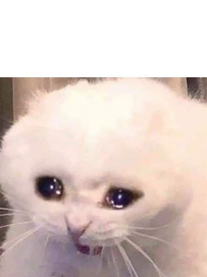 Crying Cat Blank Meme Template