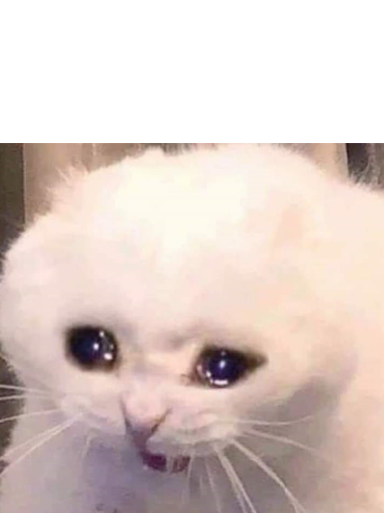 High Quality Crying Cat Blank Meme Template