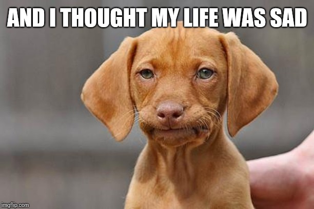 Dissapointed puppy | AND I THOUGHT MY LIFE WAS SAD | image tagged in dissapointed puppy | made w/ Imgflip meme maker