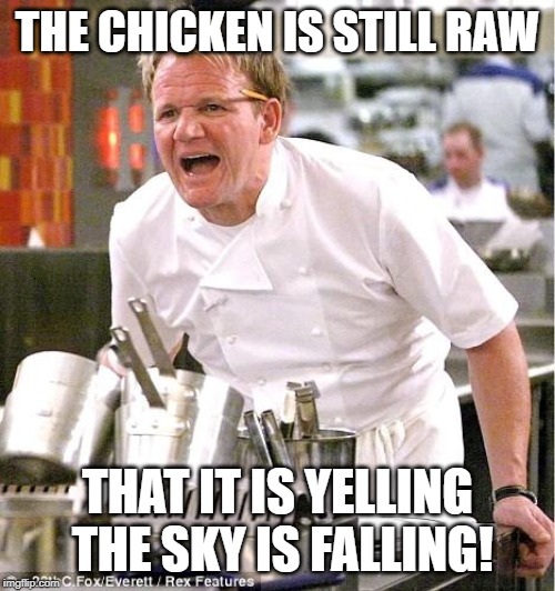 Chef Gordon Ramsay | THE CHICKEN IS STILL RAW; THAT IT IS YELLING THE SKY IS FALLING! | image tagged in memes,chef gordon ramsay | made w/ Imgflip meme maker