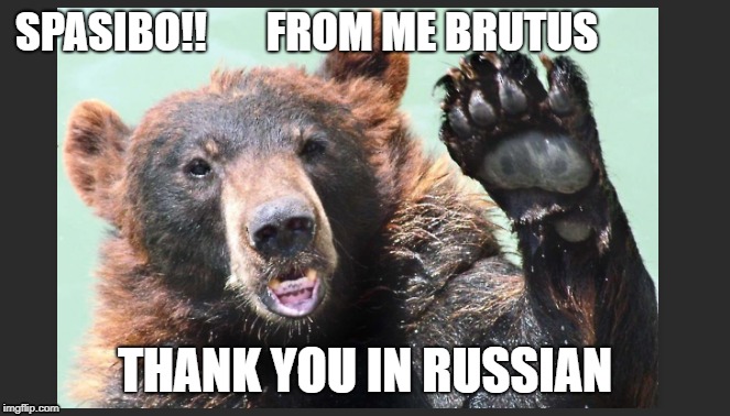 spasibo | SPASIBO!!       FROM ME BRUTUS; THANK YOU IN RUSSIAN | image tagged in russian,russian thank you,thank you,thanks in russian | made w/ Imgflip meme maker