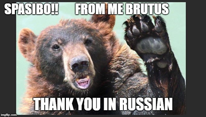 Russian Thank You Memes Gifs Imgflip