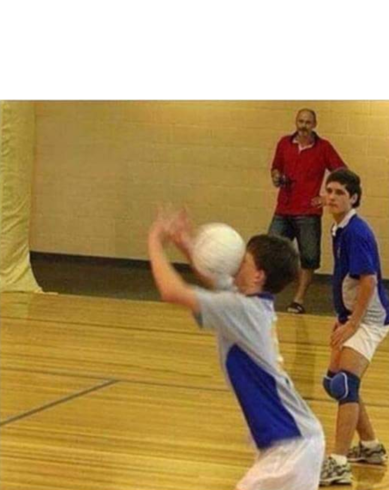 Volleyball in a nutshell Blank Meme Template