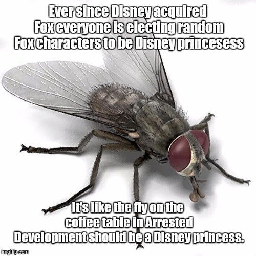Scumbag House Fly | Ever since Disney acquired Fox everyone is electing random Fox characters to be Disney princesess; It's like the fly on the coffee table in Arrested Development should be a Disney princess. | image tagged in scumbag house fly,memes | made w/ Imgflip meme maker