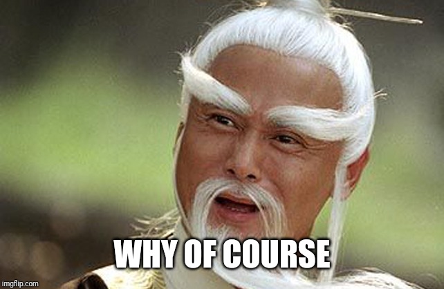 Wise Man Is Impressed | WHY OF COURSE | image tagged in wise man is impressed | made w/ Imgflip meme maker