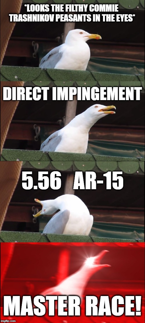 All Else is Inferior  | *LOOKS THE FILTHY COMMIE TRASHNIKOV PEASANTS IN THE EYES*; DIRECT IMPINGEMENT; 5.56   AR-15; MASTER RACE! | image tagged in memes,inhaling seagull | made w/ Imgflip meme maker