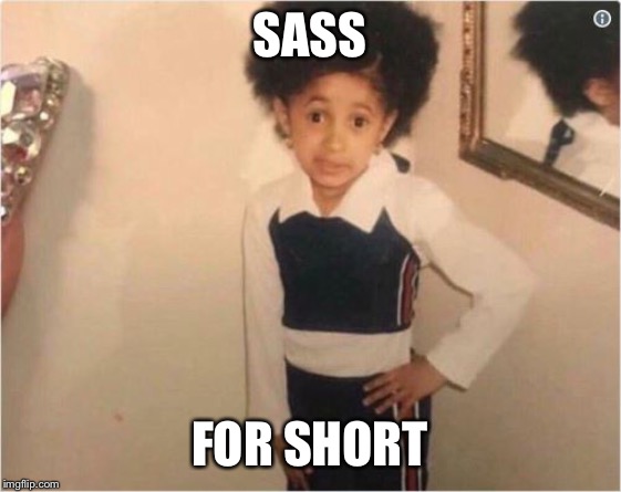 Sassy Girl | SASS FOR SHORT | image tagged in sassy girl | made w/ Imgflip meme maker