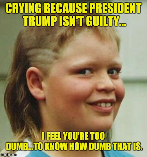 Idiot Kid | CRYING BECAUSE PRESIDENT TRUMP ISN'T GUILTY... I FEEL YOU'RE TOO DUMB...TO KNOW HOW DUMB THAT IS. | image tagged in idiot kid | made w/ Imgflip meme maker
