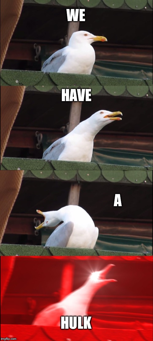 Inhaling Seagull | WE; HAVE; A; HULK | image tagged in memes,inhaling seagull | made w/ Imgflip meme maker