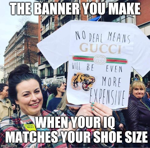 THE BANNER YOU MAKE; WHEN YOUR IQ MATCHES YOUR SHOE SIZE | image tagged in memes | made w/ Imgflip meme maker