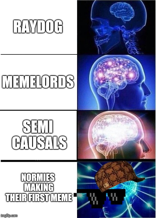 yeet | RAYDOG; MEMELORDS; SEMI CAUSALS; NORMIES MAKING THEIR FIRST MEME | image tagged in memes,expanding brain,normie,raydog | made w/ Imgflip meme maker