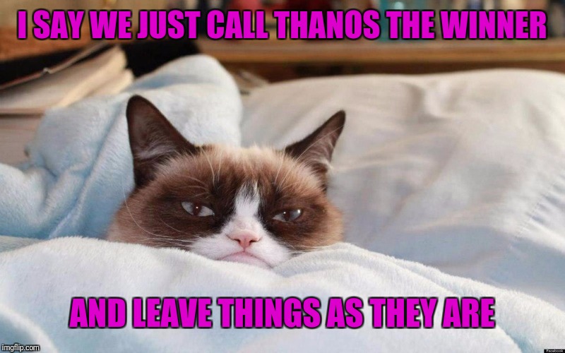 grumpy cat bed | I SAY WE JUST CALL THANOS THE WINNER AND LEAVE THINGS AS THEY ARE | image tagged in grumpy cat bed | made w/ Imgflip meme maker