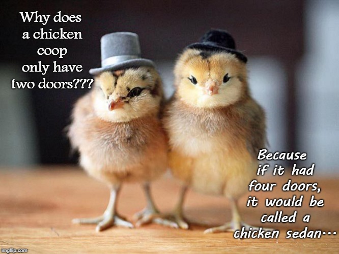 Another groaner... | Why does a chicken coop only have two doors??? Because if it had four doors, it would be called a chicken sedan... | image tagged in chicken,coop,doors,sedan | made w/ Imgflip meme maker