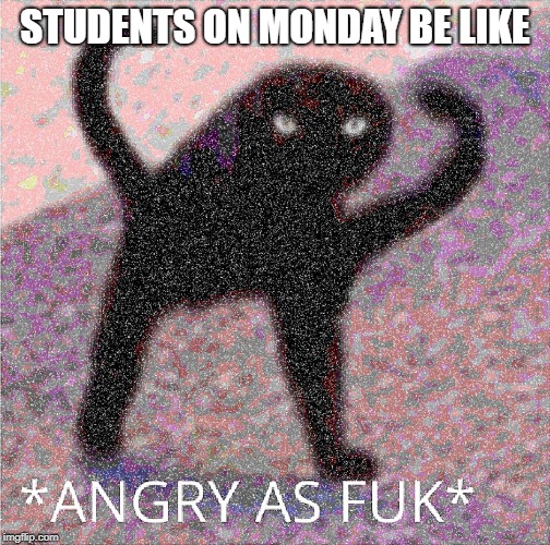 Too relatable | STUDENTS ON MONDAY BE LIKE | image tagged in angry as fuk | made w/ Imgflip meme maker