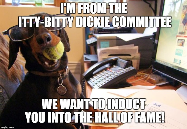 OFfice Dachshund | I'M FROM THE ITTY-BITTY DICKIE COMMITTEE; WE WANT TO INDUCT YOU INTO THE HALL OF FAME! | image tagged in office dachshund | made w/ Imgflip meme maker