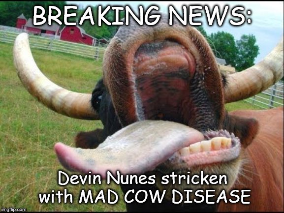 BREAKING NEWS:; Devin Nunes stricken with MAD COW DISEASE | image tagged in devin nunes,politics,republican,trump | made w/ Imgflip meme maker