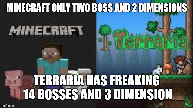 minecraft and terraria | MINECRAFT ONLY TWO BOSS AND 2 DIMENSIONS; TERRARIA HAS FREAKING 14 BOSSES AND 3 DIMENSION | image tagged in minecraft and terraria | made w/ Imgflip meme maker