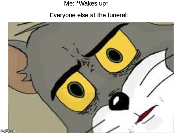 Me: *Wakes up*; Everyone else at the funeral: | image tagged in tom and jerry | made w/ Imgflip meme maker