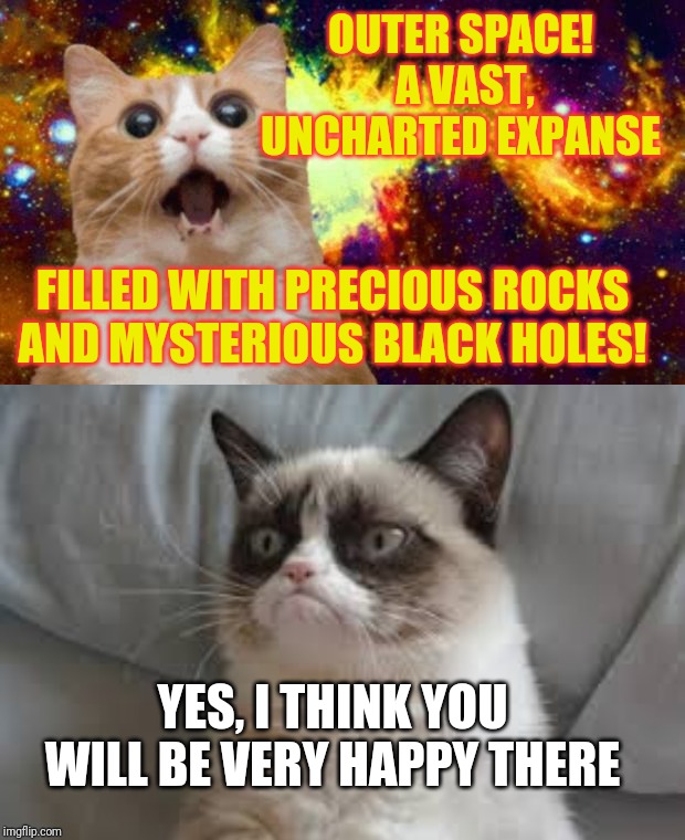 At least now we know why cats like to stare into space  | OUTER SPACE! A VAST, UNCHARTED EXPANSE; FILLED WITH PRECIOUS ROCKS AND MYSTERIOUS BLACK HOLES! YES, I THINK YOU WILL BE VERY HAPPY THERE | image tagged in space cat,grumpy cat,i would be so happy,memes,cats,hitchhiker's guide to the galaxy | made w/ Imgflip meme maker