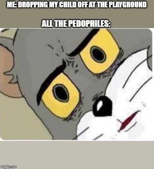 Tom and Jerry meme | ME: DROPPING MY CHILD OFF AT THE PLAYGROUND; ALL THE PEDOPHILES: | image tagged in tom and jerry meme | made w/ Imgflip meme maker