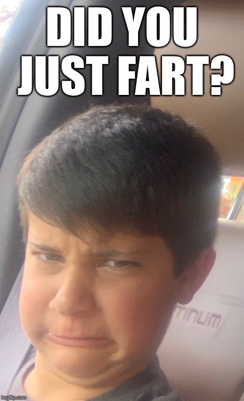 DID YOU JUST FART? | image tagged in triple chin | made w/ Imgflip meme maker