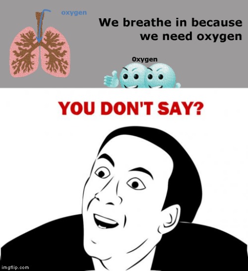 Really?!?!?!? | image tagged in memes,you don't say | made w/ Imgflip meme maker