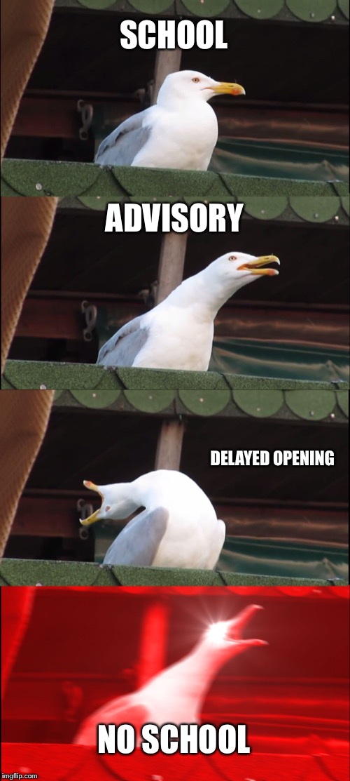 Inhaling Seagull Meme | SCHOOL; ADVISORY; DELAYED OPENING; NO SCHOOL | image tagged in memes,inhaling seagull | made w/ Imgflip meme maker