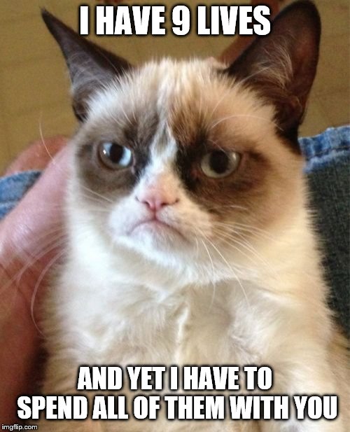 Grumpy Cat Meme | I HAVE 9 LIVES; AND YET I HAVE TO SPEND ALL OF THEM WITH YOU | image tagged in memes,grumpy cat | made w/ Imgflip meme maker