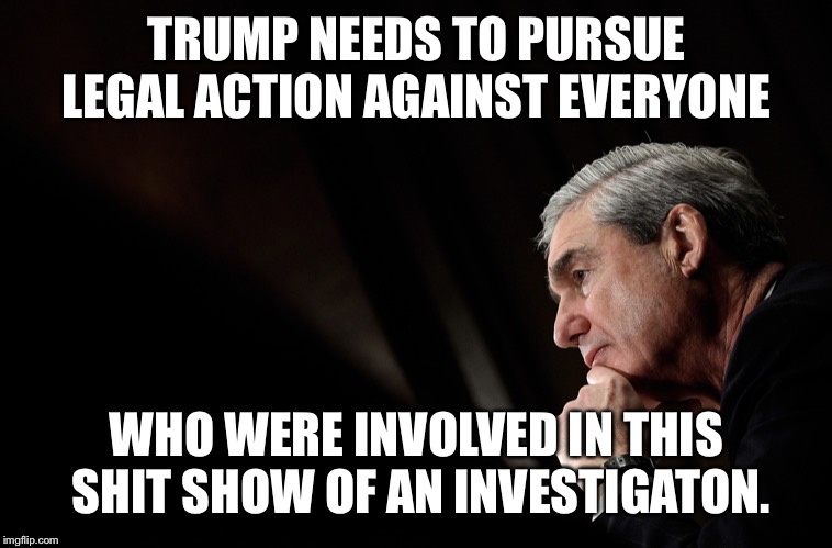 TRUMP NEEDS TO PURSUE LEGAL ACTION AGAINST EVERYONE; WHO WERE INVOLVED IN THIS SHIT SHOW OF AN INVESTIGATON. | image tagged in donald trump,robert mueller | made w/ Imgflip meme maker