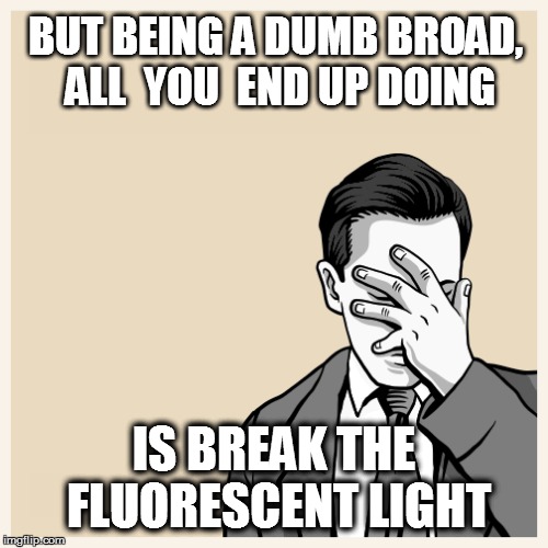 BUT BEING A DUMB BROAD, ALL  YOU  END UP DOING IS BREAK THE FLUORESCENT LIGHT | made w/ Imgflip meme maker