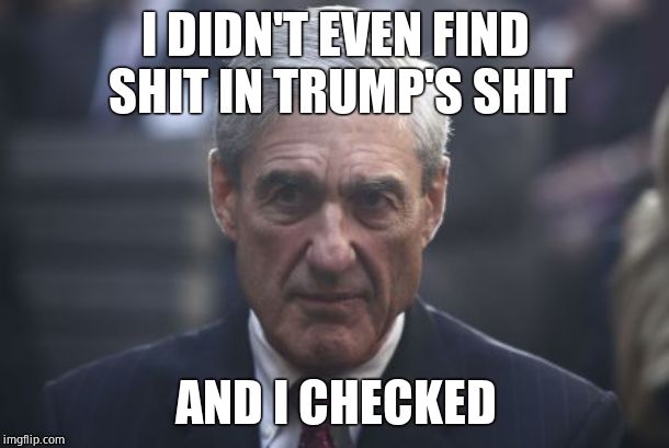 Mueller  | I DIDN'T EVEN FIND SHIT IN TRUMP'S SHIT AND I CHECKED | image tagged in mueller | made w/ Imgflip meme maker