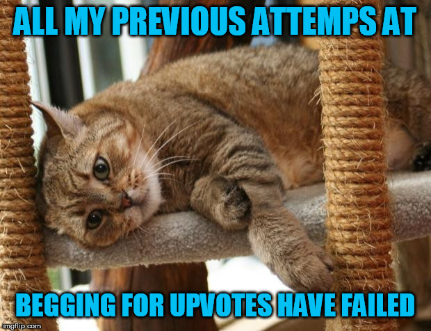 Miserably. | ALL MY PREVIOUS ATTEMPS AT; BEGGING FOR UPVOTES HAVE FAILED | image tagged in first world cat problems,upvotes,upvote begging | made w/ Imgflip meme maker