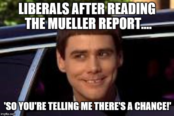 Liberals And Mueller Report | LIBERALS AFTER READING THE MUELLER REPORT.... 'SO YOU'RE TELLING ME THERE'S A CHANCE!' | image tagged in jim carey,mueller report,liberals,democrats,crying democrats | made w/ Imgflip meme maker