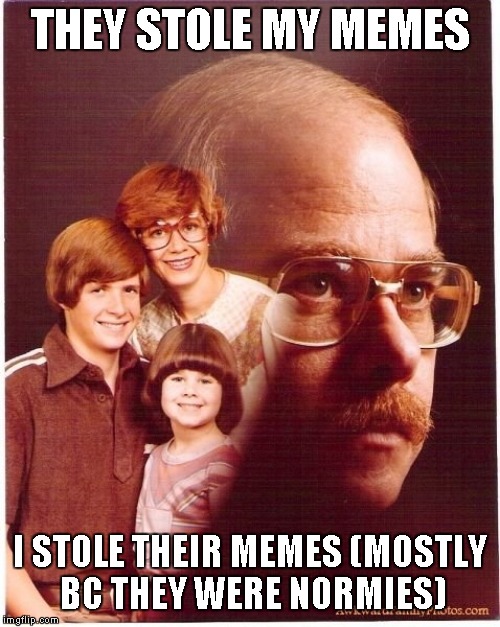 Vengeance Dad | THEY STOLE MY MEMES; I STOLE THEIR MEMES
(MOSTLY BC THEY WERE NORMIES) | image tagged in memes,vengeance dad | made w/ Imgflip meme maker