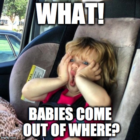 image tagged in funny,kids,babies | made w/ Imgflip meme maker