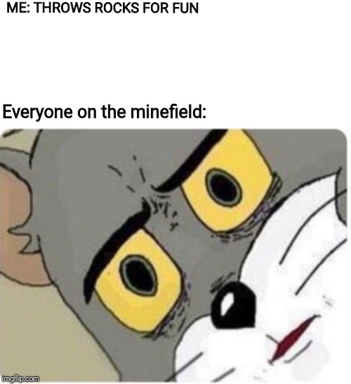 Well another Tom and Jerry meme | ME: THROWS ROCKS FOR FUN; Everyone on the minefield: | image tagged in tom and jerry meme,memes,funny,animals,dank memes,dark humor | made w/ Imgflip meme maker