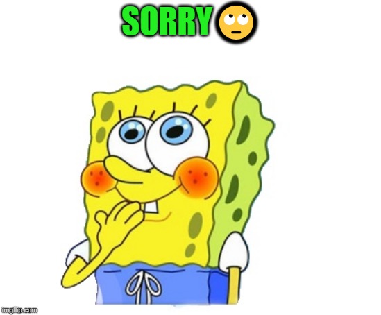 spongebob | SORRY? | image tagged in spongebob | made w/ Imgflip meme maker