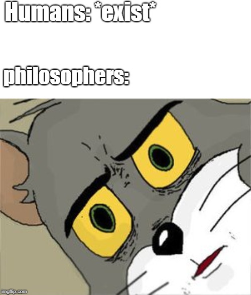 Unsettled Tom Meme | Humans: *exist*; philosophers: | image tagged in unsettled tom | made w/ Imgflip meme maker